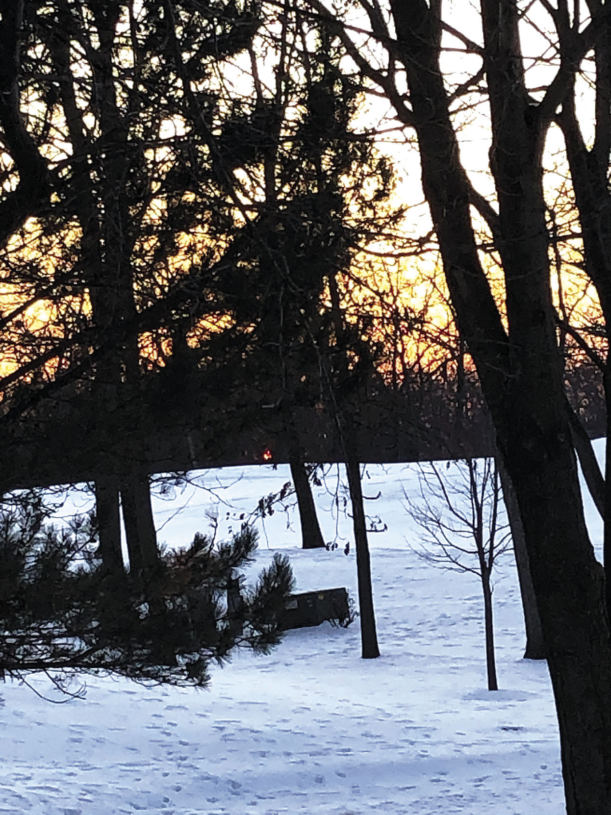 Here comes the sun